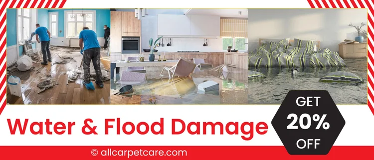 Get 20% Off on Water Damage Restoration Brooklyn