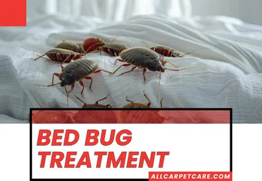 Bed Bug Treatment