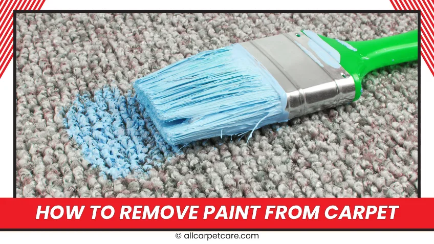 How To Remove Paint From Carpet: Expert Guide for Water Based, Acrylic, Nail & Wall Spills