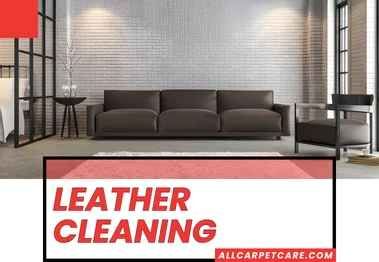 Leather Cleaning